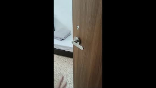 Dover Parkview, 32 Dover Rise, Room Rental, 100 sqft, Condominium For Rent, by David Sim, 500145714 - PropertyGuru.com.sg