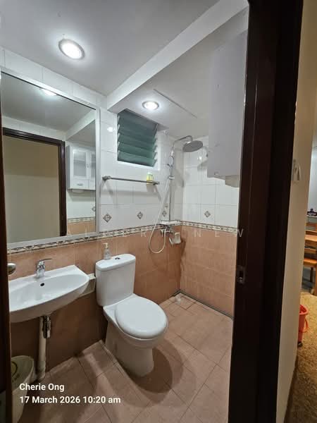Maysprings, 6 Petir Road, 2 Bedrooms, 915 sqft, Apartment For Sale, by Albert New, 500146000 - Bathroom - PropertyGuru.com.sg