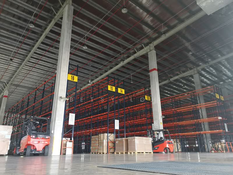 Warehouse Near Changi Airport - 8m Clear Height & 9 Dedicated Bays, , 40,000 sqft, Warehouse For Rent, by Betsy Loh, 500146009 - Interior - CommercialGuru.com.sg