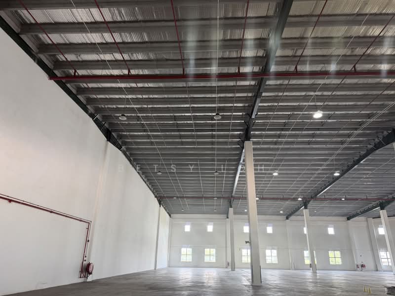 Warehouse Near Changi Airport - 8m Clear Height & 9 Dedicated Bays, Changi Airport / Changi Village, 40,000 sqft, Warehouse For Rent, by Betsy Loh, 500146009 - Interior - CommercialGuru.com.sg