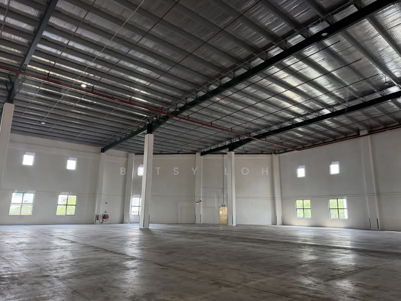 Warehouse Near Changi Airport - 8m Clear Height & 9 Dedicated Bays, Changi Airport / Changi Village, 40,000 sqft, Warehouse For Rent, by Betsy Loh, 500146009 - Interior - CommercialGuru.com.sg