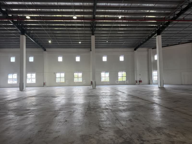 Warehouse Near Changi Airport - 8m Clear Height & 9 Dedicated Bays, Changi Airport / Changi Village, 40,000 sqft, Warehouse For Rent, by Betsy Loh, 500146009 - 9m Celar Height - CommercialGuru.com.sg