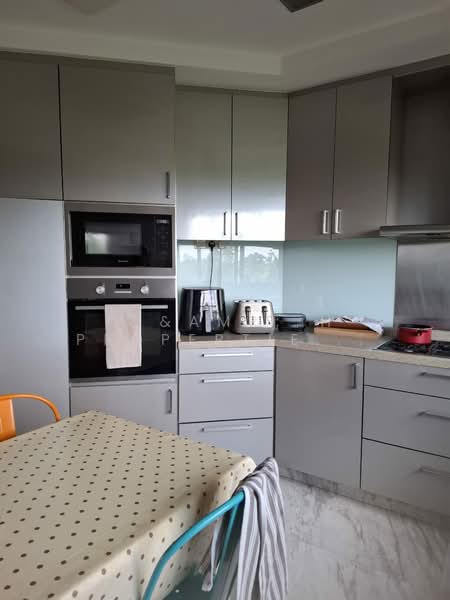 Nassim Mansion, 40 Nassim Hill, 4 Bedrooms, 3,520 sqft, Apartment For Rent, by WENDY, 500146037 - Kitchen - PropertyGuru.com.sg