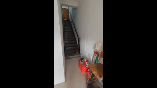 721 Clementi West Street 2, 721 Clementi West Street 2, Room Rental, 150 sqft, HDB Flat For Rent, by Alyssa Huang 黄家敏, 500146078 - PropertyGuru.com.sg