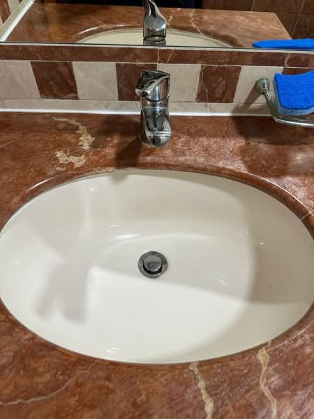 The Anchorage, 370E Alexandra Road, 3 Bedrooms, 1,464 sqft, Condominium For Rent, by Kelvin Chin, 500146095 - Bathroom - PropertyGuru.com.sg
