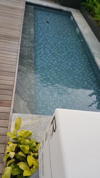 The Siena, 31 Tan Kim Cheng Road, 1 Bedroom, 538 sqft, Apartment For Sale, by Kenny Tan, 500146419 - Pool - PropertyGuru.com.sg