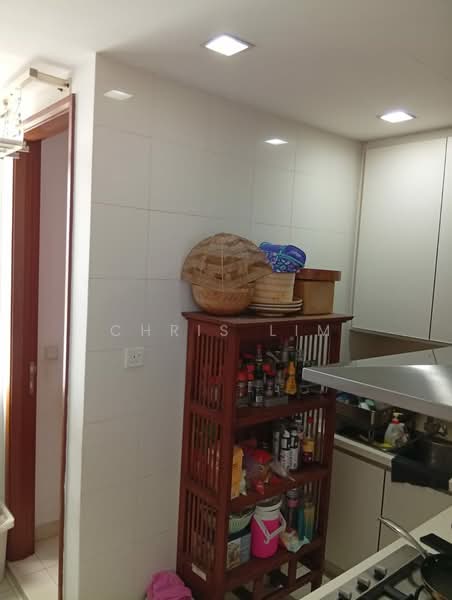 Saint Thomas Suites, 33 St Thomas Walk, 4 Bedrooms, 2,013 sqft, Condominium For Rent, by Chris Lim, 500146666 - Kitchen - PropertyGuru.com.sg