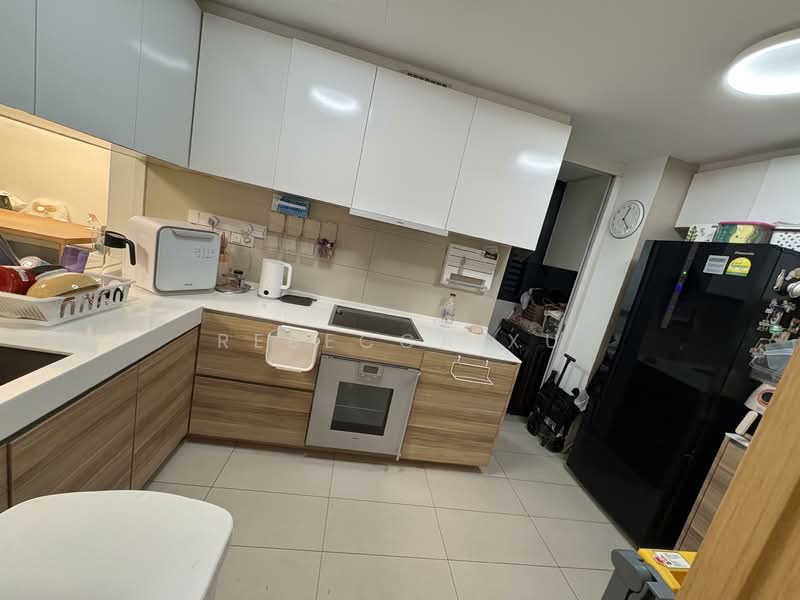 WaterScape @ Cavenagh, 65 Cavenagh Road, 3 Bedrooms, 1,313 sqft, Apartment For Rent, by Rebecca Xu, 500146702 - Kitchen - PropertyGuru.com.sg