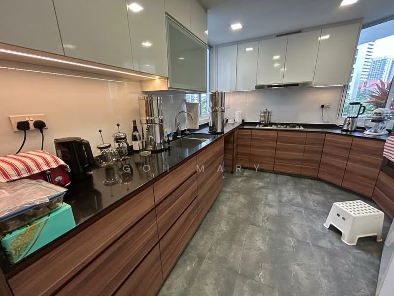 Elizabeth Heights, 57 Cairnhill Road, 4 Bedrooms, 2,615 sqft, Condominium For Rent, by Goh Mary, 500146705 - Kitchen - PropertyGuru.com.sg
