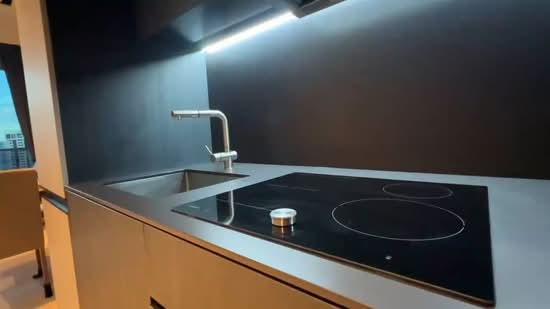 3 Cuscaden, 3 Cuscaden Walk, 1 Bedroom, 463 sqft, Condominium For Sale, by Anthony Ang, 500147597 - PropertyGuru.com.sg