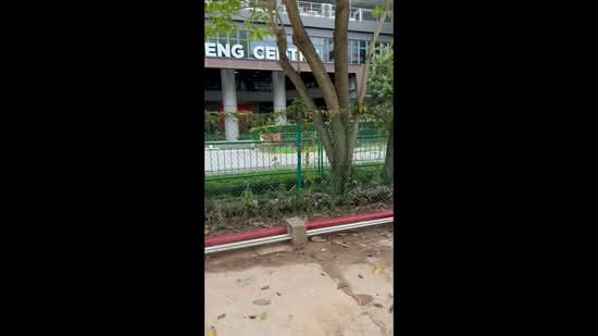 2 Irving Road, Irving Road, 5,000 sqft, Land Only For Rent, by Grace Lim, 500147718 - CommercialGuru.com.sg
