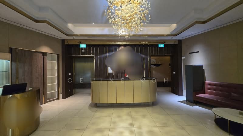 Fully Fitted Renovated Spa Massage Open to Other Trades, , 11,745 sqft, Mall Shop For Rent, by Celine Koh, 500147983 - Entrance - CommercialGuru.com.sg