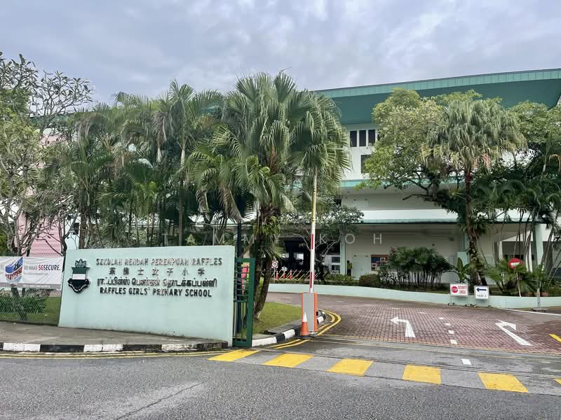 Brand New 2.5 Storey Modern Landed Masterpiece located 1KM to Rgps, , 5 Bedrooms, 6,700 sqft, Semi-Detached House For Sale, by Tammy Koh, 500148207 - Raffles Girls' Primary School - PropertyGuru.com.sg
