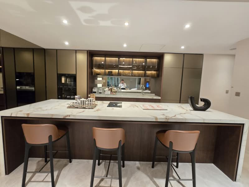 Newport Residences, 80 Anson Road, 4 Bedrooms, 2,067 sqft, Apartment For Sale, by Ethan Lee C H, 500148347 - Dry Kitchen - PropertyGuru.com.sg