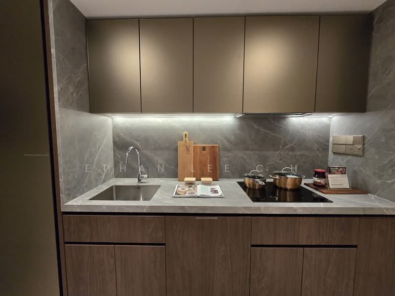 Newport Residences, 80 Anson Road, 4 Bedrooms, 2,067 sqft, Apartment For Sale, by Ethan Lee C H, 500148347 - Wet Kitchen - PropertyGuru.com.sg