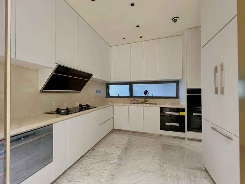 New Futura, 14 Leonie Hill Road, 4 Bedrooms, 2,250 sqft, Condominium For Rent, by Evan Yang 杨辉, 500148453 - Kitchen - PropertyGuru.com.sg