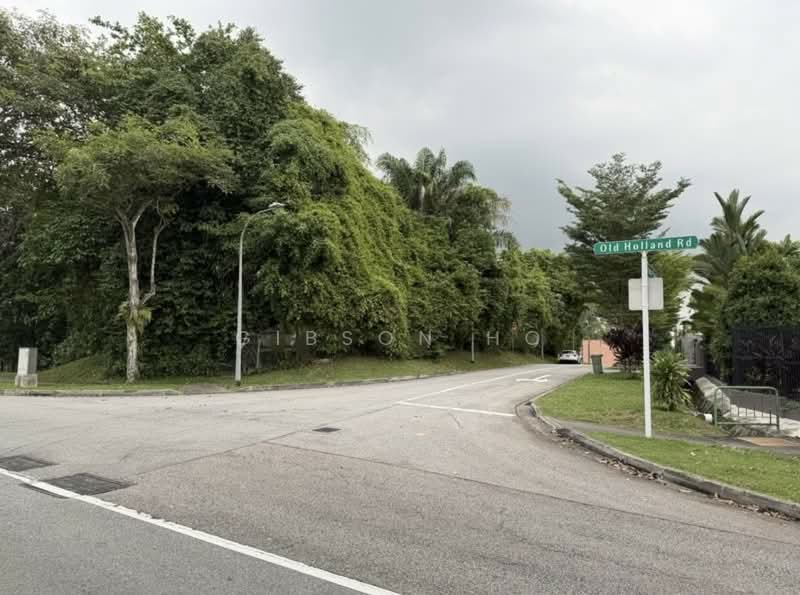 Brizay park, old holland road, 6 Bedrooms, 5,000 sqft, Good Class Bungalow For Sale, by Gibson Ho, 500148469 - PropertyGuru.com.sg