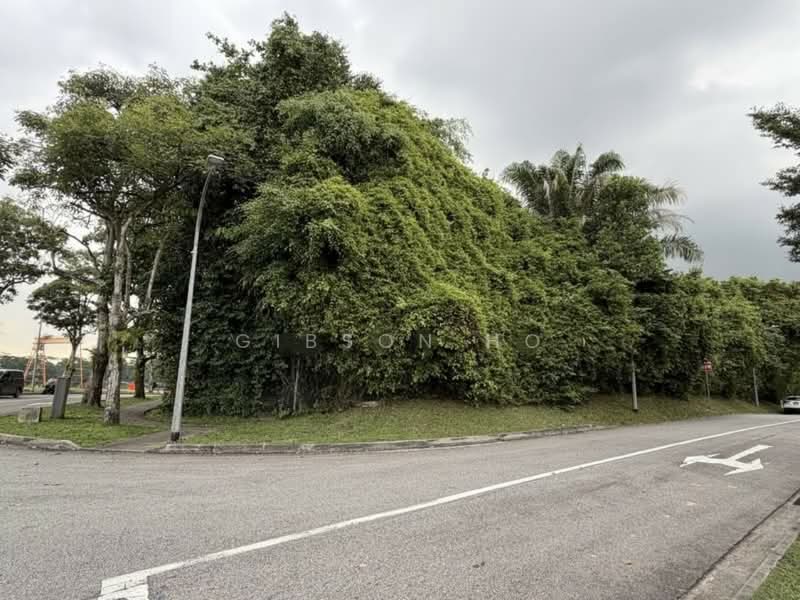Brizay park, old holland road, 6 Bedrooms, 5,000 sqft, Good Class Bungalow For Sale, by Gibson Ho, 500148469 - Exterior - PropertyGuru.com.sg