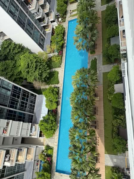The Luxurie, 27 Compassvale Road, 2 Bedrooms, 775 sqft, Condominium For Rent, by Rhoda Lim, 500148597 - Exterior - PropertyGuru.com.sg