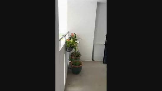 798 Yishun Ring Road, 798 Yishun Ring Road, Sembawang / Yishun, 3 Bedrooms, 1,108 sqft, HDB Flat For Sale, by WIN win, 500148852 - PropertyGuru.com.sg