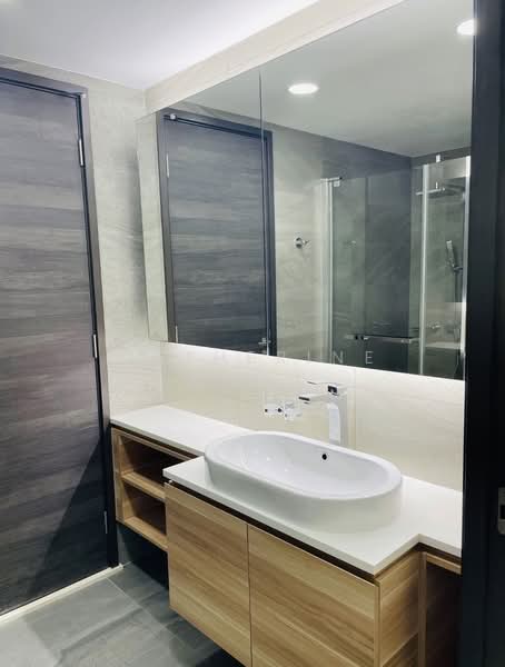 The Poiz Residences, 12 Meyappa Chettiar Road, 1 Bedroom, 527 sqft, Condominium For Sale, by Catherine Zhou, 500149060 - Bathroom - PropertyGuru.com.sg