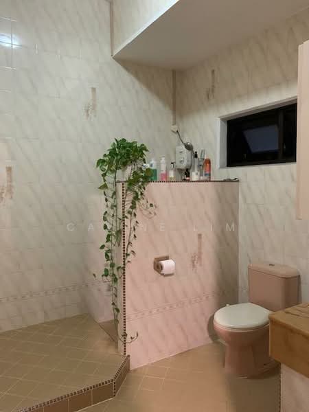 Regina Hill, , 4 Bedrooms, 2,500 sqft, Semi-Detached House For Rent, by Caline Lim, 500149126 - Bathroom - PropertyGuru.com.sg