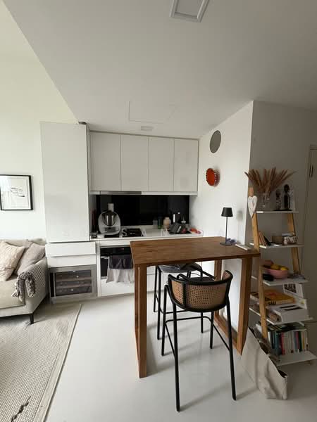 Spottiswoode Suites, 16 Spottiswoode Park Road, 2 Bedrooms, 1,064 sqft, Condominium For Rent, by Su-san Han, 500149307 - Kitchen - PropertyGuru.com.sg