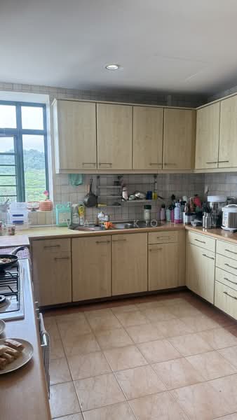 The Hillside, 341 Upper Bukit Timah Road, 4 Bedrooms, 2,647 sqft, Condominium For Rent, by Ivan Koh, 500149376 - Kitchen - PropertyGuru.com.sg