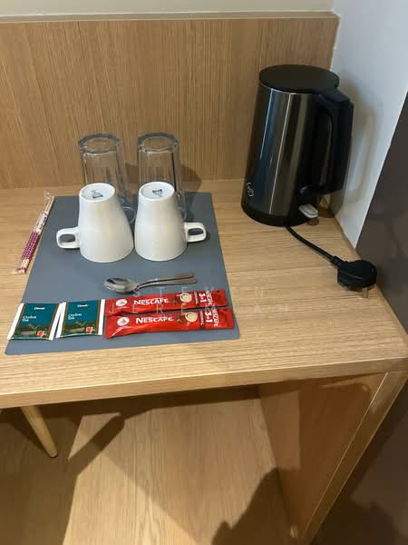 Orchard Coliwoo, , Studio, 250 sqft, Apartment For Rent, by Steven Jeremiah, 500149617 - Utensils Provided - PropertyGuru.com.sg
