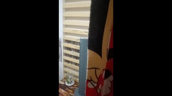 22 Balam Road, 22 Balam Road, Room Rental, 60 sqft, HDB Flat For Rent, by Cindy Fu 付小姐, 500149712 - PropertyGuru.com.sg