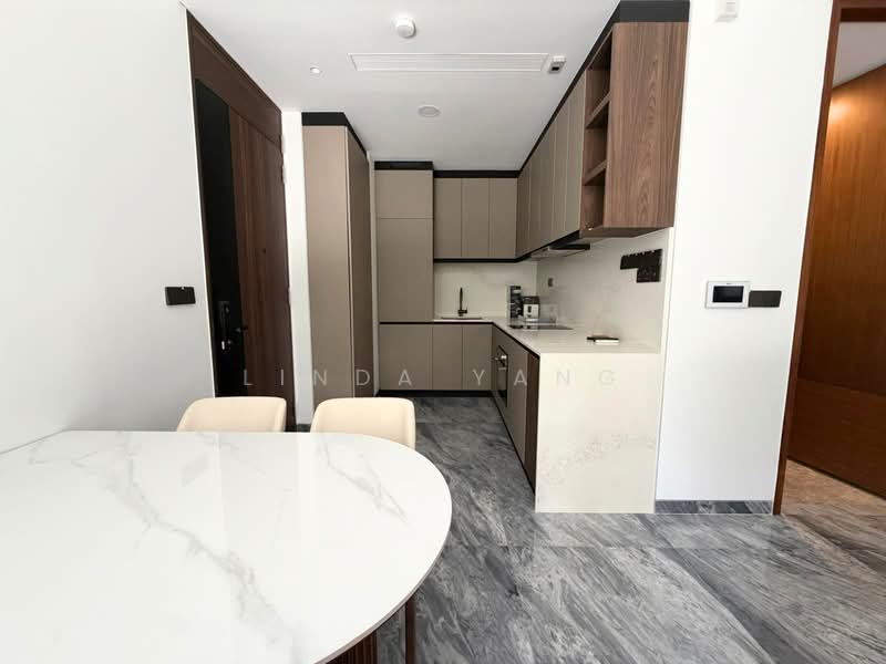 Grange 1866, 74 Grange Rd, 2 Bedrooms, 764 sqft, Condominium For Rent, by Linda Yang, 500149721 - Kitchen - PropertyGuru.com.sg