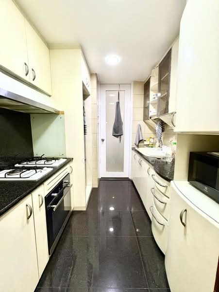 River Place, 62 Havelock Road, 1 Bedroom, 724 sqft, Condominium For Sale, by Fiona Ho, 500149872 - Kitchen - PropertyGuru.com.sg