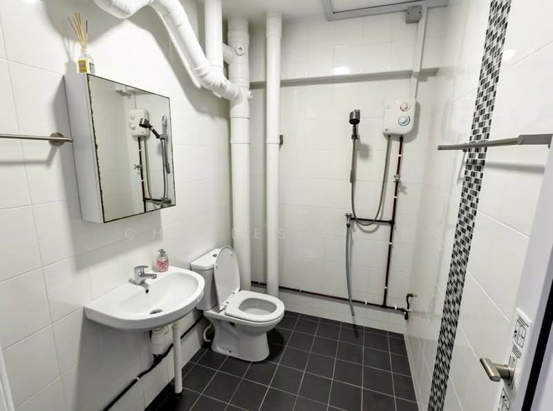 132 Geylang East Avenue 1, 132 Geylang East Avenue 1, 3 Bedrooms, 1,572 sqft, HDB Flat For Sale, by Charles Chen, 500150723 - Bathroom - PropertyGuru.com.sg
