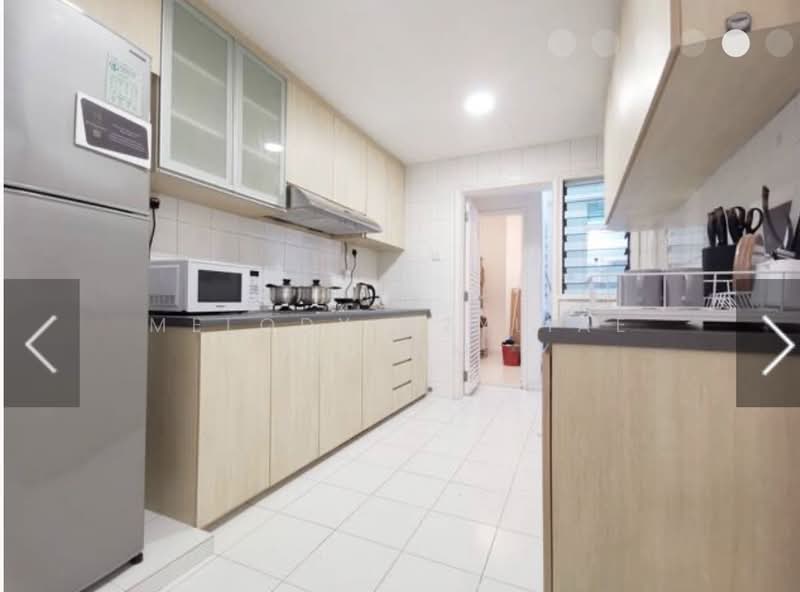 Robin Regalia, 35 Robin Road, Room Rental, 100 sqft, Condominium For Rent, by Melody Azyliae Chiam, 500150843 - Kitchen - PropertyGuru.com.sg