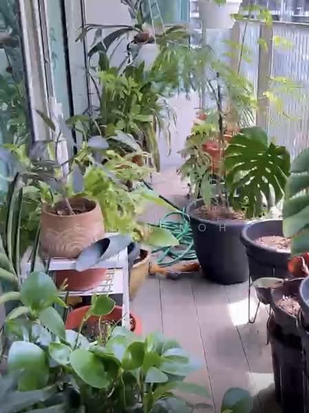 Livia, 61 Pasir Ris Grove, 4 Bedrooms, 1,539 sqft, Condominium For Sale, by Selin Koh, 500150923 - Balcony - PropertyGuru.com.sg