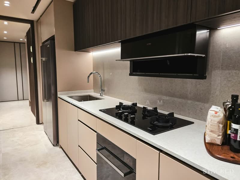 Hudson Place Residences, , 2 Bedrooms, 689 sqft, Condominium For Sale, by Raye Cham, 500150959 - Kitchen - PropertyGuru.com.sg