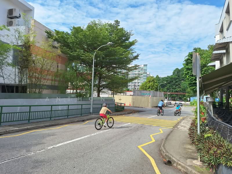 Binjai Park, Binjai Park, 3 Bedrooms, 1,033 sqft, Walk-up Apartment For Rent, by Anthony Cheng, 500151229 - Exterior - PropertyGuru.com.sg