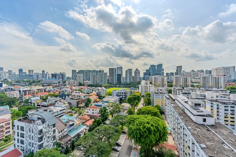 48 Dorset Road, 48 Dorset Road, 3 Bedrooms, 1,281 sqft, HDB Flat For Sale, by Vivian Hun, 500151233 - Unblocked view - PropertyGuru.com.sg