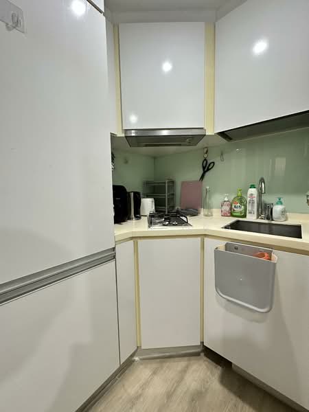Smart Suites, 302 Sims Avenue, 1 Bedroom, 560 sqft, Condominium For Rent, by Alson Ong, 500151490 - Kitchen - PropertyGuru.com.sg
