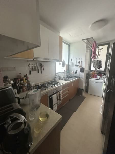 The Imperial, 3 Jalan Rumbia, 2 Bedrooms, 990 sqft, Condominium For Rent, by Caprice Ling, 500151853 - Kitchen - PropertyGuru.com.sg