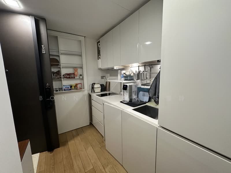 Skysuites @ Anson, 8 Enggor Street, Room Rental, 200 sqft, Condominium For Rent, by Bonnie Tan 陈慧玲, 500152151 - Kitchen - PropertyGuru.com.sg