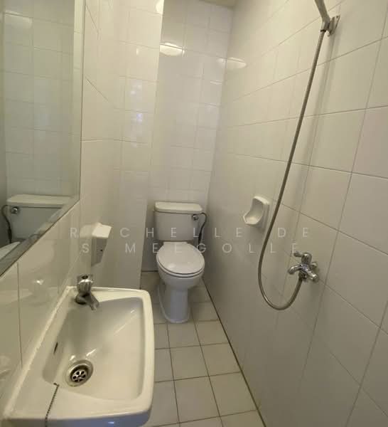 Royal Palm Mansions, 330 Pasir Panjang Road, 3 Bedrooms, 1,238 sqft, Condominium For Rent, by Rochelle De S Meegolle, 500152343 - Bathroom - PropertyGuru.com.sg