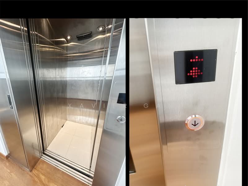 Springleaf Garden, Springleaf Road, 6 Bedrooms, 2,157 sqft, Semi-Detached House For Rent, by Xavier Gan, 500152570 - Interior - PropertyGuru.com.sg