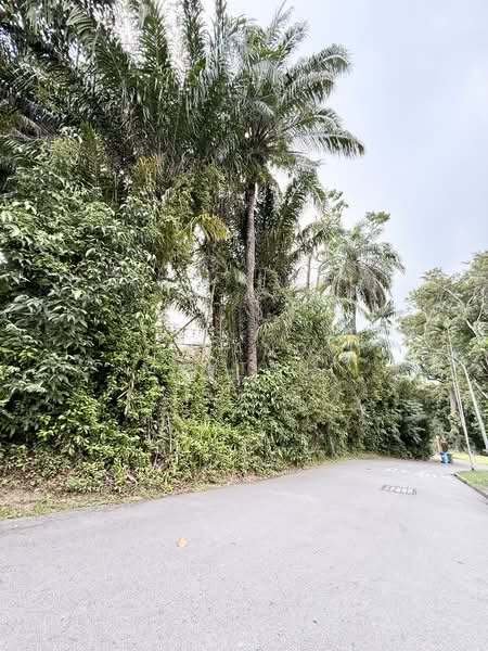 6D Cluny Park, Cluny Park, 4 Bedrooms, 2,999 sqft, Detached House For Sale, by Chand Mahtani, 500152590 - Exterior - PropertyGuru.com.sg