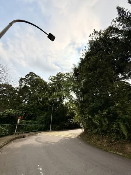 6D Cluny Park, Cluny Park, 4 Bedrooms, 2,999 sqft, Detached House For Sale, by Chand Mahtani, 500152590 - Exterior - PropertyGuru.com.sg
