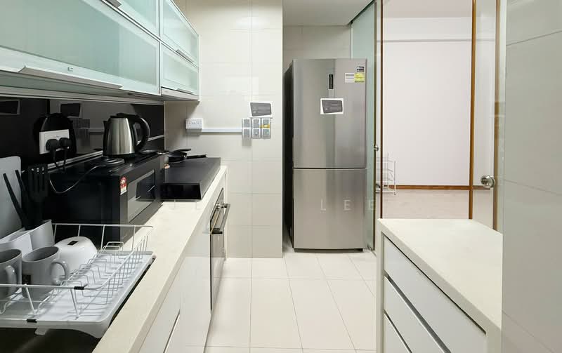 The Peak @ Balmeg, 17 Balmeg Hill, Room Rental, 165 sqft, Condominium For Rent, by Jeron Lee, 500152891 - Kitchen - PropertyGuru.com.sg