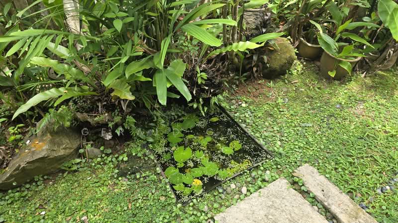 Greenbank Park, Greenbank Park, 6 Bedrooms, 6,600 sqft, Bungalow House For Sale, by Gerald Gasper, 500153050 - PropertyGuru.com.sg