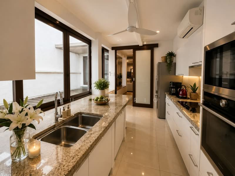 Emerald Hill Luxury 3+1/ Roof Terrace, Emerald Hill Road, 4 Bedrooms, 2,600 sqft, Conservation House For Rent, by Susan Prior, 500153129 - Kitchen - PropertyGuru.com.sg