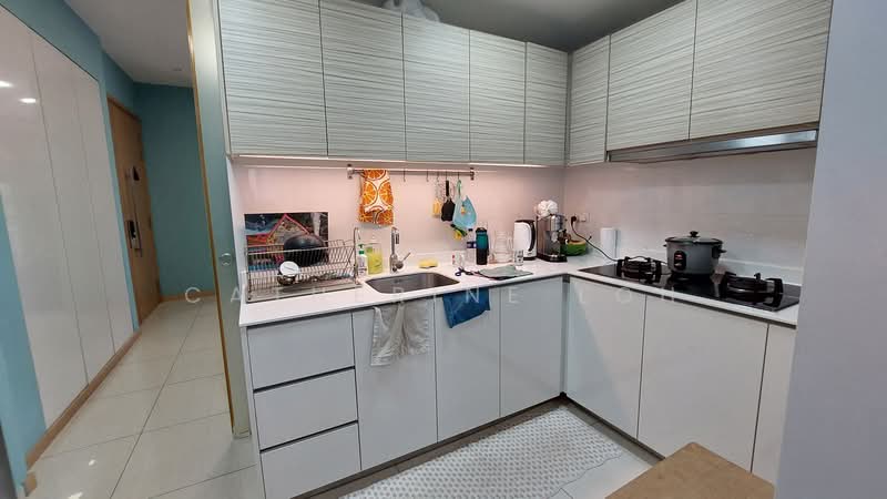 Terrasse, 29 Terrasse Lane, 3 Bedrooms, 1,152 sqft, Condominium For Sale, by Catherine Loh, 500153240 - Kitchen - PropertyGuru.com.sg