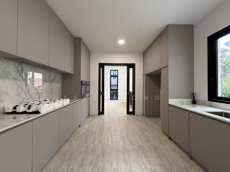 Brand New TOP 2.5 Sty Bungalow w Bonus Basement & Pool, , 5 Bedrooms, 12,109 sqft, Bungalow House For Sale, by Tricia Ong, 500153348 - PropertyGuru.com.sg